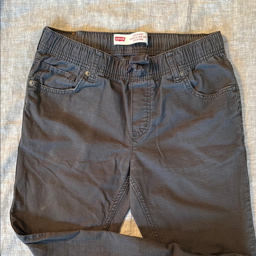 Levi's Kids Gray Elastic Waist Pants
